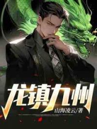 龙镇九州