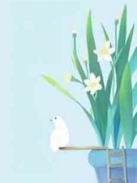 直播曝光：我，最强天师