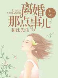 和沈先生离婚那点事儿