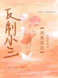 爽文：反制小三我爽歪歪