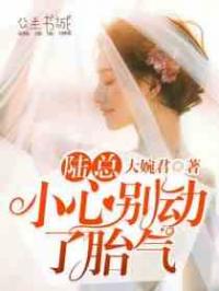 陆总，小心别动了胎气