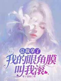 总裁拿了我的眼角膜叫我滚