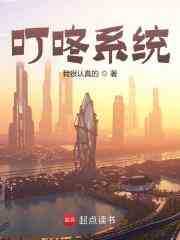 叮咚系统
