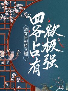 清穿贵妃娇又媚！四爷占有欲极强