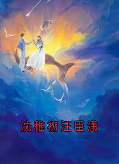 沈稚初汪臣潇