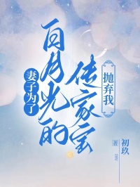 妻子为了白月光的传家宝抛弃我