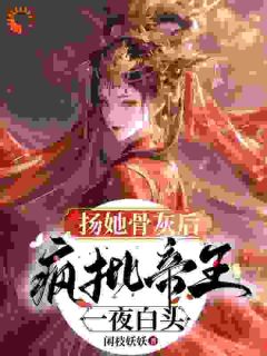 重生嫁王爷，前世负心人竟是我？