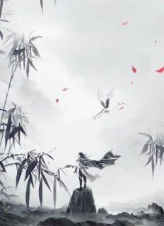 我本是无情道帝尊的一缕分身
