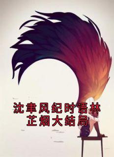 沈聿风纪时语林芷烟大结局