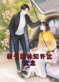 裴书臣林知许沈念念