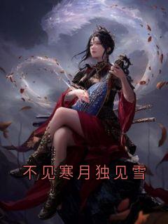 不见寒月独见雪