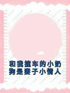 和我撞车的小奶狗是妻子小情人