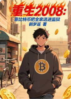 重生2008：靠比特币把全家送监狱