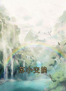 苏小交换