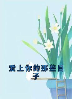 爱上你的那些日子