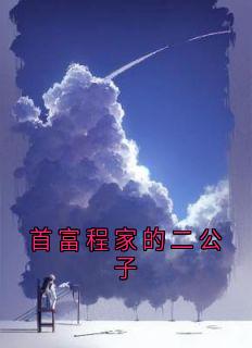 首富程家的二公子