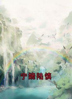 宁婉陆慎