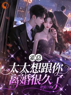 霍总，太太想跟你离婚很久了小说(完结)-云初霍宴州无删减阅读