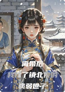 离婚后，我嫁了镇北侯的病弱世子小说最后结局，顾昭珩柳如眉李承鄞百度贴吧小说全文免费