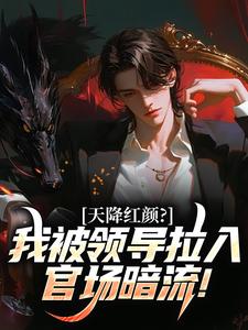 新书推荐《天降红颜？我被领导拉入官场暗流！》完整版小说-李云涛王为民最新章节阅读