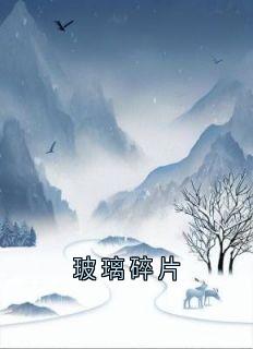 《玻璃碎片》(佚名小说)小说最新章节