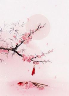 沈浪宋栖月无弹窗在线阅读