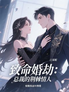 致命婚劫：总裁的荆棘情人小说(完结)-沈墨苏翎章节阅读