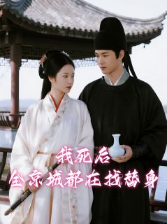 我死后，全京城都在找替身林晚萧彻免费阅读-我死后，全京城都在找替身云卧松雪小说
