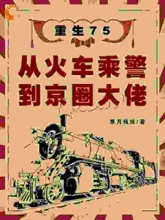重生75：从火车乘警到京圈大佬小说全集(陆城林清妍)无弹窗广告阅读