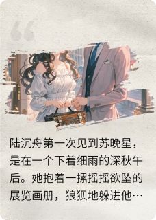 《星星只认银河》小说免费阅读 苏晚星陆沉舟傅琛大结局完整版