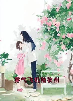雾气飞机陆钦州是什么小说苏言星陆钦州全本免费阅读