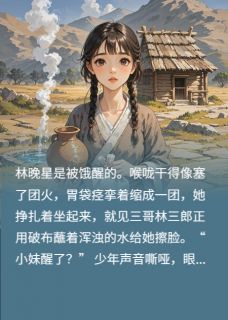 林晚星沈砚辞小说大结局在哪看-逃荒路上，我靠空间养全家完整版免费阅读