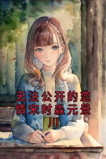 无法公开的恋情宋时淼元景川