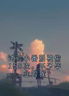 试验小番茄被偷158次，不予毕业的我