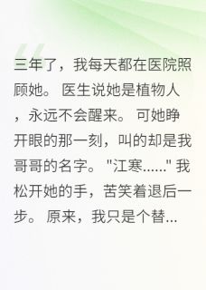 书荒必备苏晚江晨小说