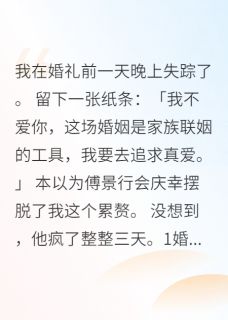 爆款小说婚礼前夜我消失了七十二小时-主角傅景行苏米在线阅读