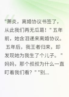 （好书推荐）前妻为我生子，却不让相认小说最新章节小说全文阅读