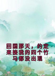 回国那天，约定来接我的四个竹马都没出现