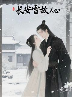 长安雪，故人心