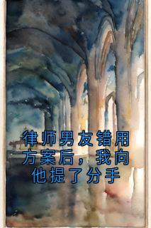 律师男友错用方案后，我向他提了分手