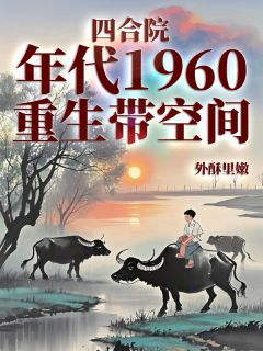 四合院：年代1960重生带空间
