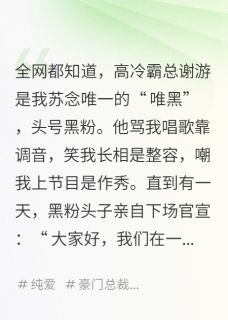 我的头号黑粉是霸总