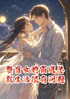 娶盲女的霸道总裁生活很有问题