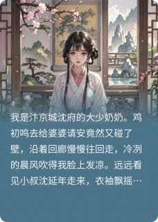 沈府迷雾