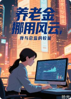 养老金挪用风云，我与总监的较量