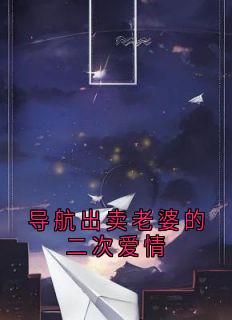 导航出卖老婆的二次爱情