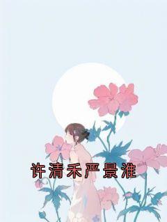 许清禾严景淮