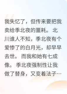 梦月光