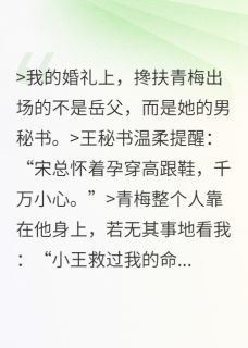 婚礼换新郎，孩子归你自由归我