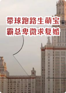 带球跑生天才萌宝霸总卑微求复婚